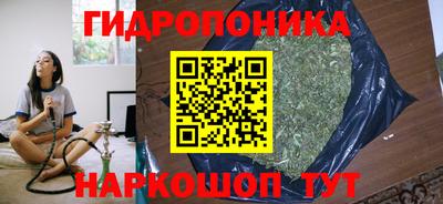 PSILOCYBIN Лесосибирск