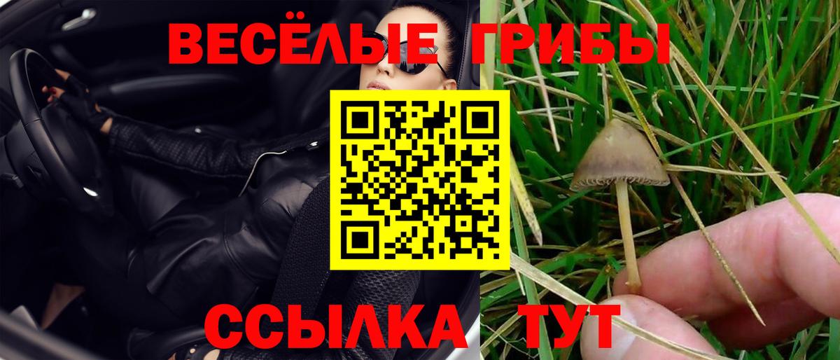 Геленджик  Псилоцибиновые грибы GOLDEN TEACHER  Вход с VPN 